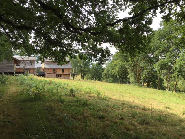 architecture en bois, écologie, environnement