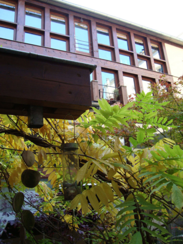 architecture bois, ossature bois, architecture de bois à Paris, ateliers d’artistes, cour arborée, jardin de sculptures, plantes en pot, petit collectif, jardin à Paris, logements en bois, duplex